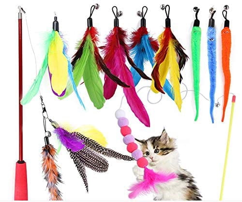 retractable cat toy