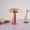 Bronze, variant on LED Bar Table Lamp, USB Rechargeable Night Light, Portable Bedside Lamp for Hotel Home Outdoor Indoor Use