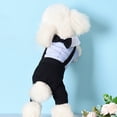 thumbnail image 5 of Close-fitting Dog Clothes - Non-shrink Fabric Cute Dog Dress - Outdoor Pet Apparel, 5 of 8