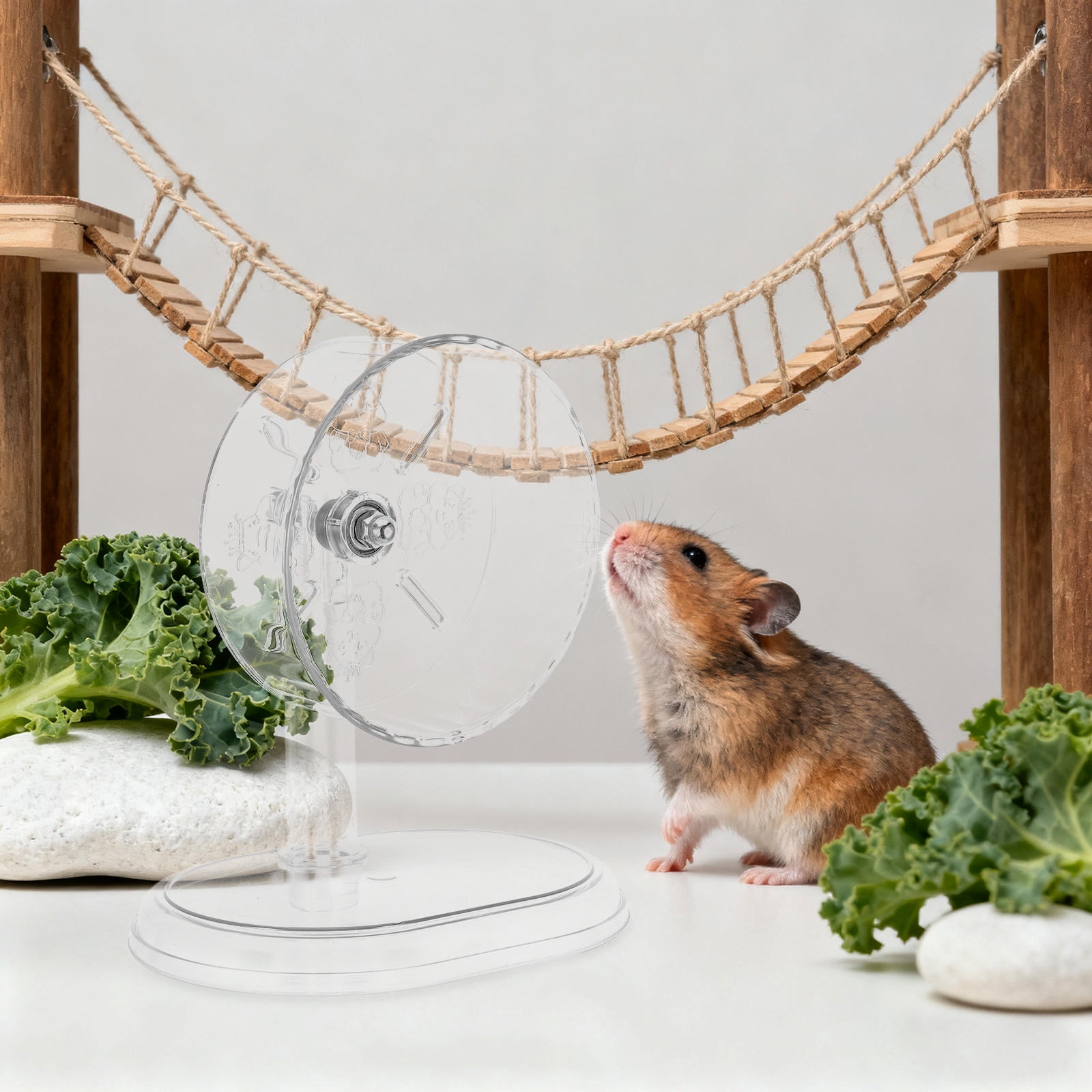 COMPUKAS Transparent Silent Hamster Wheel for Small Pets, Noiseless Running, PP Material for Home Use