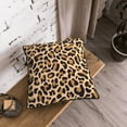 thumbnail image 3 of DouZhe Velvet Decorative Throw Pillow Covers Set of 2, Soft Square Cushion Cover with Invisible Zipper Abstract Leopard Print Animal Brown Printing, 20"x20", 3 of 7