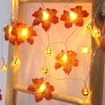 thumbnail image 3 of Cadena de luces LED de calabaza 3D, calabaza con pilas, acción de gracias, Navidad Ormromra CPB-SSW87-6, 3 of 5
