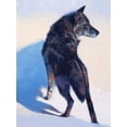thumbnail image 2 of Chapman, Julie T. 25x32 White Modern Wood Framed Museum Art Print Titled - Wolf Study I, 2 of 4