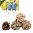 thumbnail image 1 of Parrots Ball Set, Chewing Sepak Takraw Toy Healthy  For Small Pet, 1 of 8