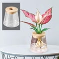thumbnail image 3 of Florero nórdico Pequeña Sin suelo Contenedor de pntación Flor ra el dormitorio Mesa Cen Decoración de oficina en 9cmx10cm Colco floreros decorativos, 3 of 8