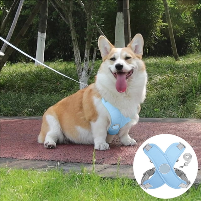 Dog Harness, No-Pull No-Choke with Leash Set for Small Medium Dogs, Adjustable Soft Padded Step-in Vest Harness with Reflective Strips, X-Frame Design for Daily Walks & Outdoor Adventures, M