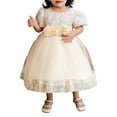 thumbnail image 2 of Baby Girls Dress Toddler Party Dress Cute Church Baptism Birthday Party Formal Dress, 2 of 7