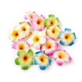 thumbnail image 1 of 10 clips multicolores de flores de plumeria hawaiana, pasadores de pelo de flores hawaianas, pinzas para el pelo para fiestas en la playa, horquillas de flores tropicales artificiales, accesorios para, 1 of 5