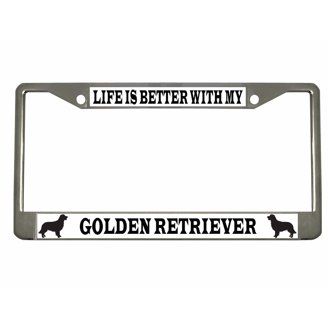 Gold Stainless Steel License Plate Frame – Metal Tag Holder Cover For Car Truck SUV