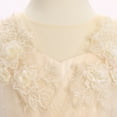 thumbnail image 4 of IBTOM CASTLE Toddler Little Flower Girls Princess Tulle Dress Sleeveless Floral Embroidery Tutu 3D Butterfly Back Bowknot For Wedding Birthday Party Evening Formal 2-3T Champagne, 4 of 7