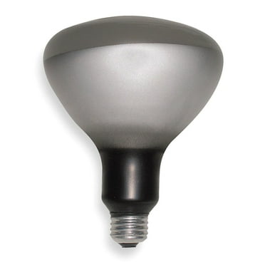 Incandescent Floodlight, R40, 250W