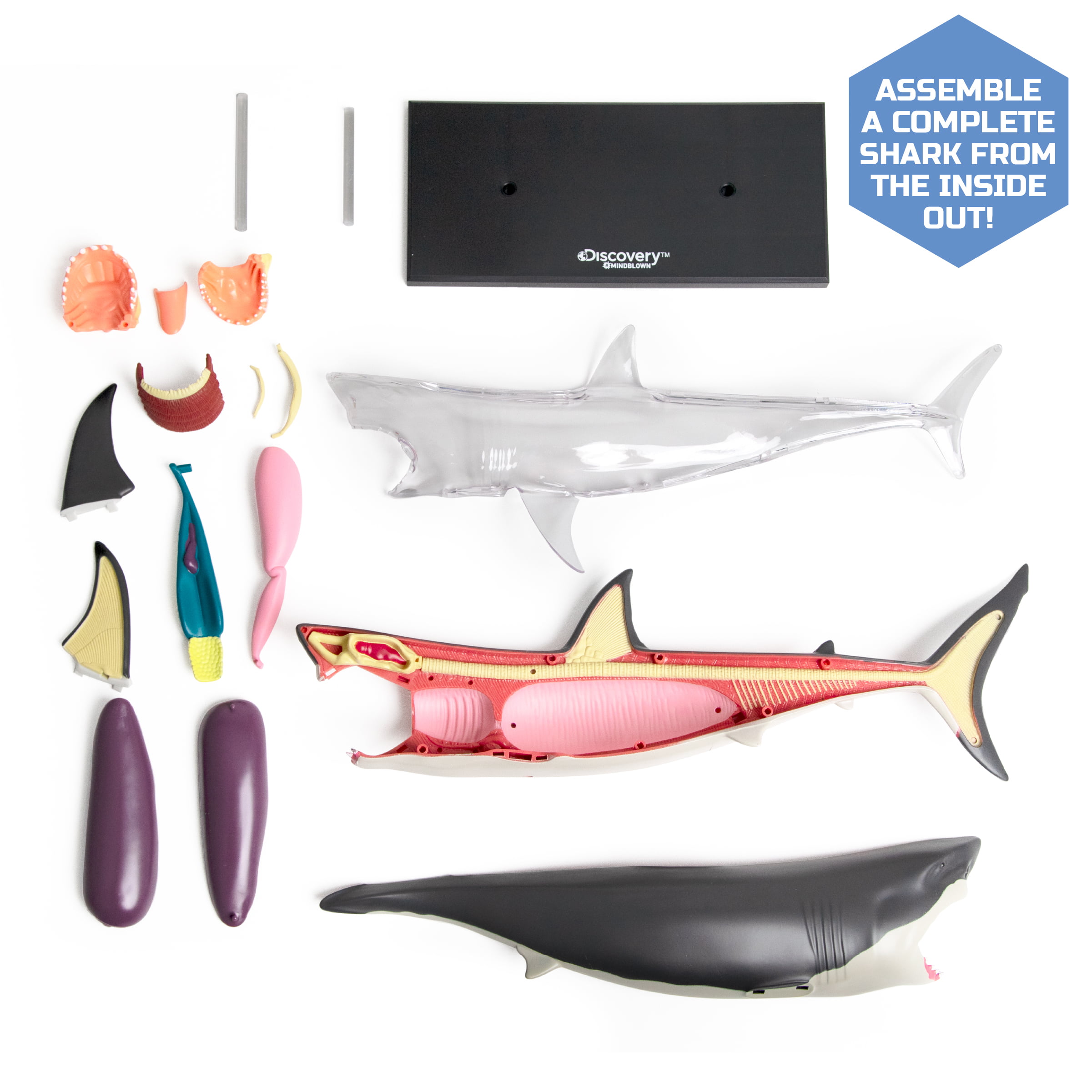 Discovery Mindblown 4D Shark Anatomy Kit 