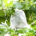 thumbnail image 4 of HCBY 100Pcs Non Woven Fruit Protection Bags, 11.81x7.87in Grape Protection Bag, Drawstring Anti Bird Insect Fruit Cover for Garden, 4 of 6