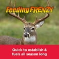 thumbnail image 3 of Pennington Rackmaster Feeding Frenzy Food Plot Seed Blend 25 lb, 3 of 10