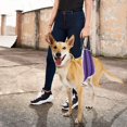 voopet Dog Sling, Help MMF7 Lift Back Legs, Portable Hip Support
