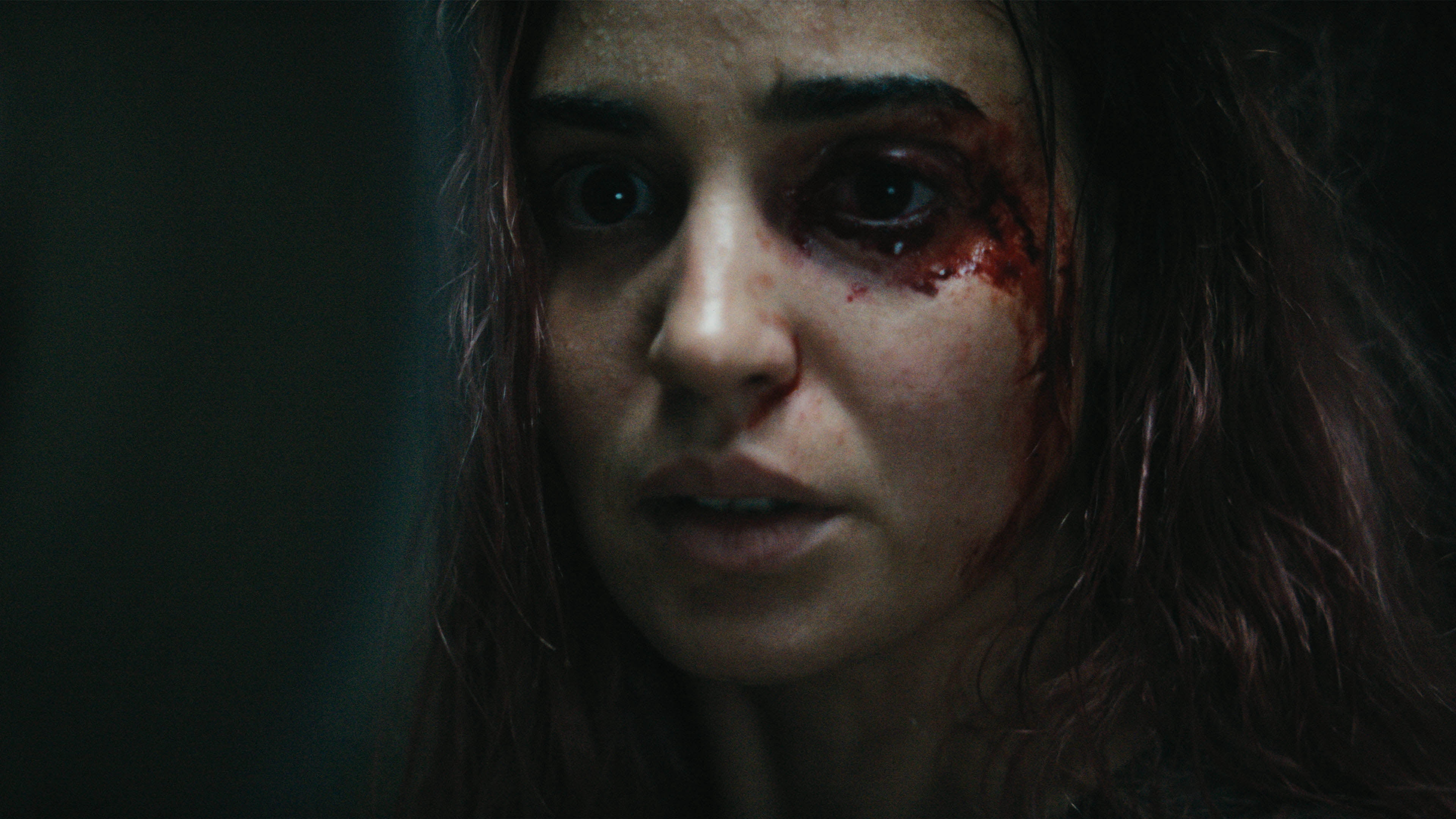 Evil Dead Burn (4K Ultra HD + Digital Copy), Horror, Warner Bros.