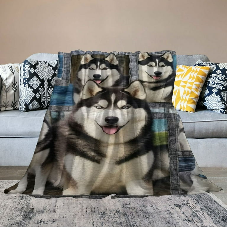 Husky throw blanket sale