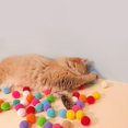 thumbnail image 2 of Pelota de peluche creativa para gatos yuxing Juguete para gatos pistola de tiro 20 piezas elásticas, 2 of 5
