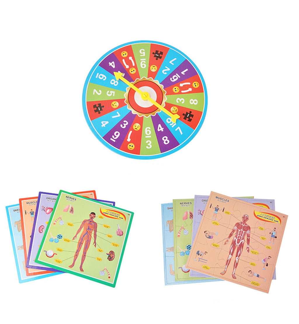 Human Body Puzzle Toys Body Structure Intelligence Training Plaything
