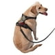 thumbnail image 2 of Fotbe Dark Red Hooded Girl Arnés para Perro con Estampado –Chaleco Ajustable Acolchado con Asa de Control para Perros Grandes-Small, 2 of 6