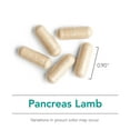 thumbnail image 5 of NutriCology Pancreas Lamb - Freeze Dried Pancreas Tissue - Supports Digestive System - Hypoallergenic Formula - 90 Servings - 90 Count, 5 of 7