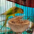 thumbnail image 3 of VERDANVERSE Natural Coconuts Shell Bird Nest for Parakeets Hanging Bird House Breeding and Resting, 3 of 4