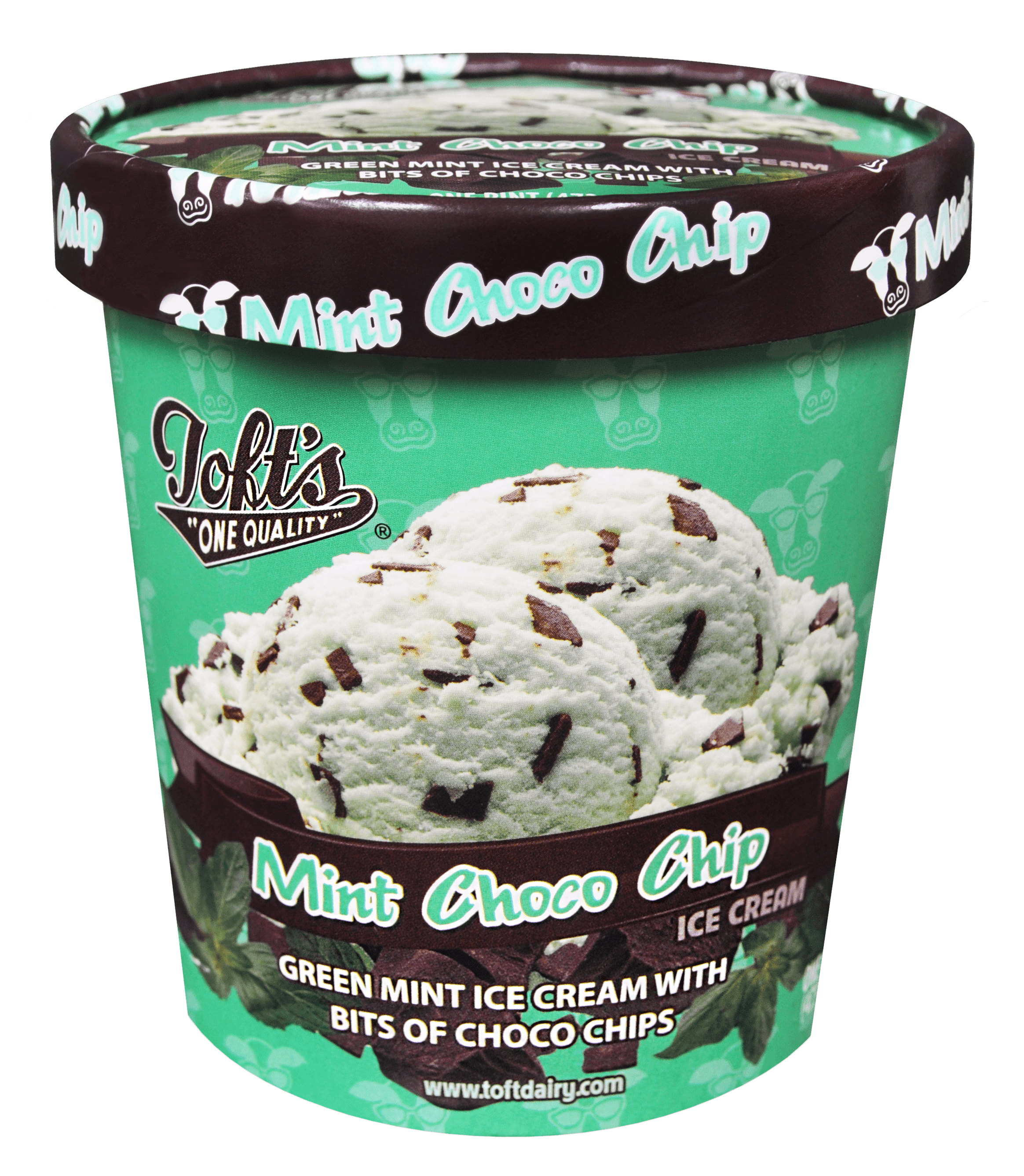 Toft's Mint Choco Chip Ice Cream 16oz
