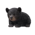 thumbnail image 5 of Baby Black Bear Crawling, 5 of 5