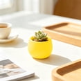 thumbnail image 5 of Round Mini Plastic Succulent Planter Pot, Colorful Small Desktop Flower Container, Lightweight Nursery Plant Pot For Cactus, Herb, Bonsai, Ideal For Home, Office, Balcony And Indoor Desktop Decor, 5 of 6
