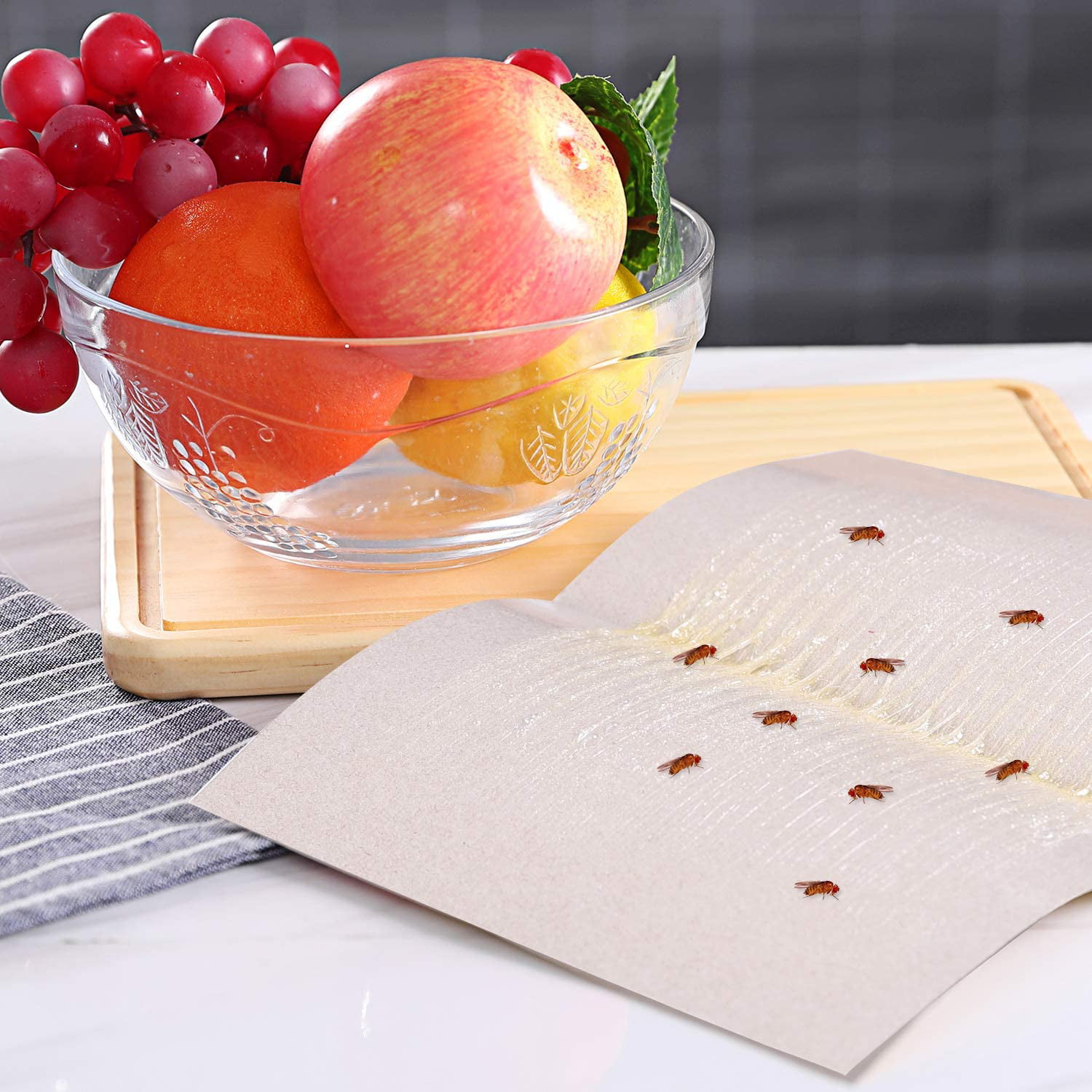 10 Pack Fruit Fly Trap Indoor Fly Paper Gnat Trap Fly Killer for Kitchen 