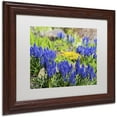 thumbnail image 2 of Trademark Fine Art "Grape Hyacinth" Canvas Art by Kurt Shaffer, White Matte, Wood Frame, 2 of 4