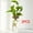 6.5X12CM 2pcs, variant on 1pc, Hydroponics Plants Desktop Glass Planter Vase For Home Decoration, Plant Propagation Station Bud Vase, Desktop Hydroponics