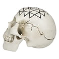 thumbnail image 2 of Spiritual Sacred Geometry Sri Yantra Shri Chakra Vastu Symbol Skull Figurine, 2 of 9