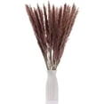 thumbnail image 1 of 30 piezas de flores secas, plantas de caña de pampa secas naturales con caja, flores reales, flores de boda románticas, ramos de totora, sabor duradero para decoración del hogar con fotografía Ormromra LRWJ097-2, 1 of 4