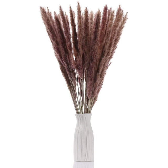 30 piezas de flores secas, plantas de caña de pampa secas naturales con caja, flores reales, flores de boda románticas, ramos de totora, sabor duradero para decoración del hogar con fotografía Ormromra LRWJ097-2