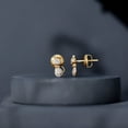 thumbnail image 5 of Rosec Jewels Natural Diamond Cat Earrings for Women - Diamond Stud Earrings - HI-SI Quality - Ready to Gift, 10K Yellow Gold, 5 of 9