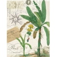 thumbnail image 2 of Jordan, Elizabeth 25x32 White Modern Wood Framed Museum Art Print Titled - Palm Rectangle 2, 2 of 4