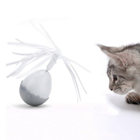 Jouet De Boule De Culbuteur De Chat Jouet Electrique De Tete De Peluche De Chien De Gobelet De Chat Walmart Canada Jouet De Boule De Culbuteur De Chat Jouet Electrique De Tete De Peluche De Chien De Gobelet De Chat Walmart Canada