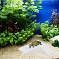 thumbnail image 3 of ETHZZLE Versatile White Turtle Habitat Platform with Ramp for Aquatic Turtle Tank Use, 3 of 8