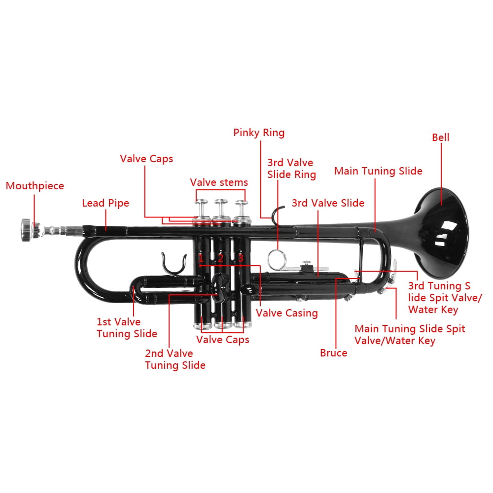 DFITO Bb Adjustable Trumpet for Beginners Students B Flat Instrument with Mouthpiece Gloves Set
