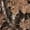 Brown Leaf Camo Pattern, variant on Brown Grass Camo Comfortable Casual Maxi Dress, Breathable Flowy Polyester and Spandex Short Sleeve Long Dress for Summer Daily Dinner