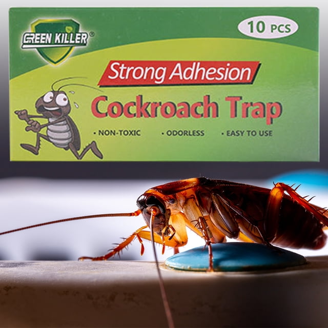 Trampa para cucarachas Trampa para cucarachas, cebo no tóxico, trampas adhesivas, trampa de pegamento para plagas para cocina, 10 Uds.