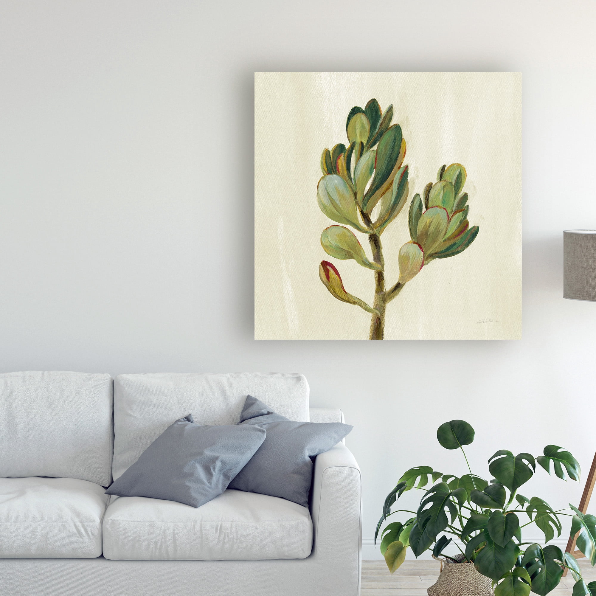 Trademark Fine Art 'Front Yard Succulent II' Canvas Art by Silvia Vassileva