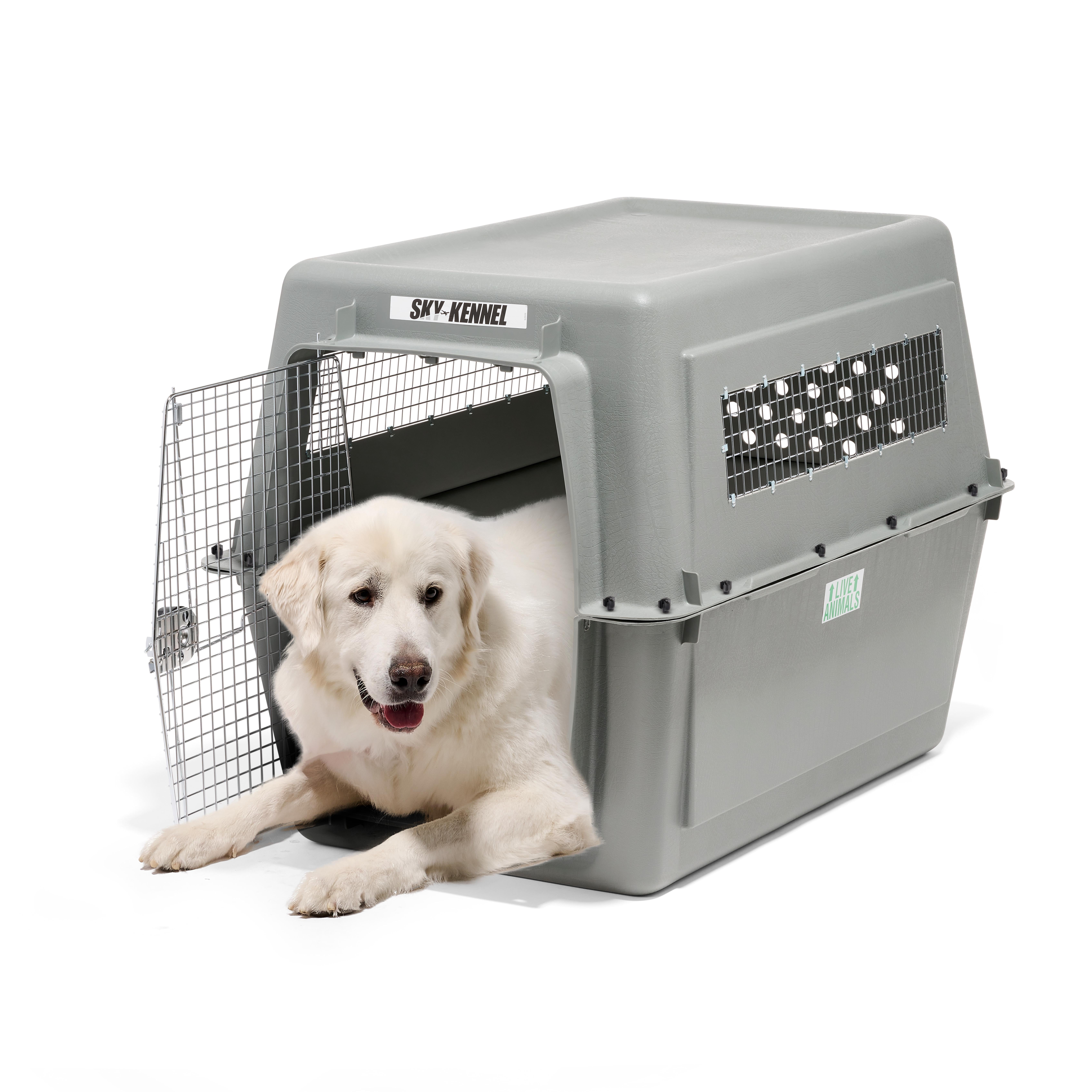 Petmate Sky Kennel IATA Airline Friendly Dog Crate Plastic Travel Pet Carrier, Jumbo XXL 48 Petmate Sky Kennel IATA Airline Friendly Dog Crate Plastic Travel Pet Carrier, Jumbo XXL 48