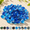 Caribbean Blue-1 inch, 10 Pounds, variant on 10 Pounds Blended Fire Glfor Fireplace Pit & Lanscaping - 1 Inch High Luster Rocks With Mixed Colors (cobalt Blue++crystal Ice+caribbean Blue) (pack Of 2)