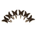 thumbnail image 4 of Percha de pared 10pcs Gancho de Toalla Pared Percha Puerta Capa Mariposa Antigua Herramienta Decoración Fanmusic Percha de pared, 4 of 7