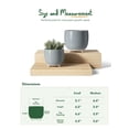 thumbnail image 2 of Ceramic Plant Pots, 2 of 5