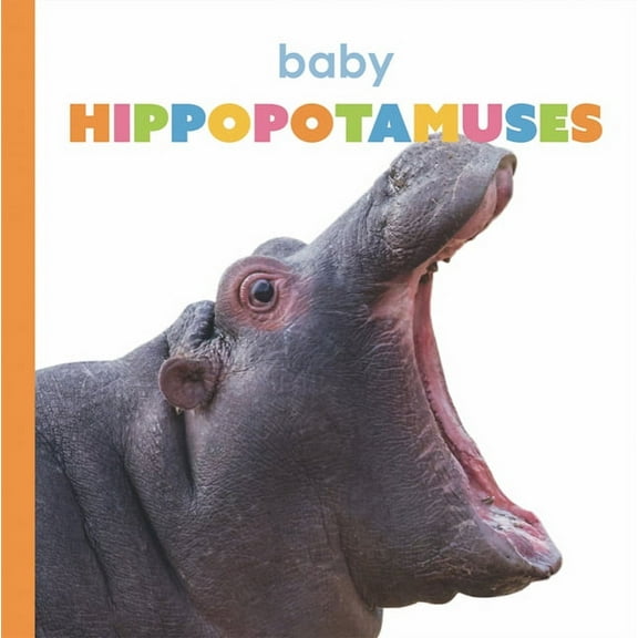 Starting Out: Baby Hippopotamuses (Paperback)