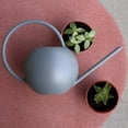 thumbnail image 4 of 1 L/ 35 onzas de regadera larga de material acero inoxidable plantas herramientas de riego - Gris CUTICAT regadera de caño largo, 4 of 8