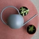 thumbnail image 4 of Regadera de Plantas de Jardín DYNWAVEMX 1L gris regadera de caño largo, 4 of 8